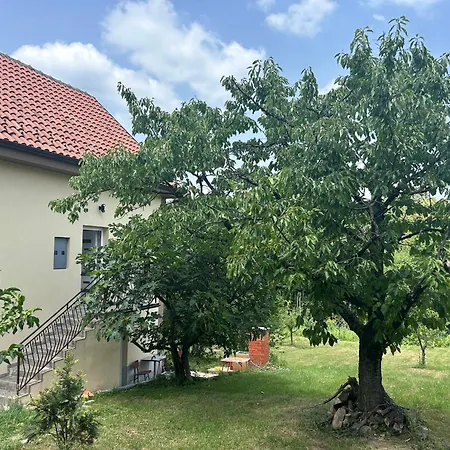 Kosmaj Ruza Vetrova Sopot