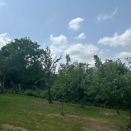 شقة Kosmaj Ruza Vetrova Sopot