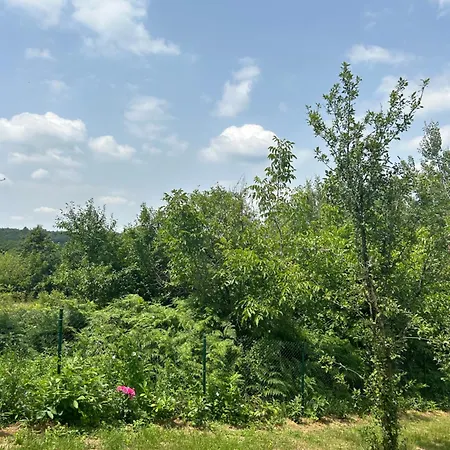 Kosmaj Ruza Vetrova Sopot