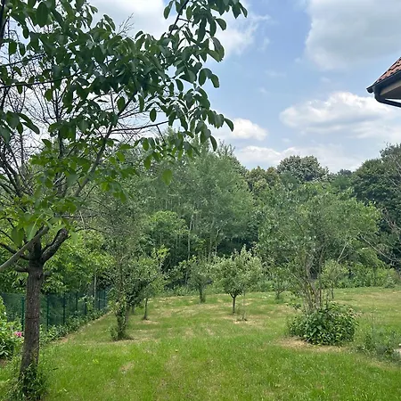 아파트 Kosmaj Ruza Vetrova *