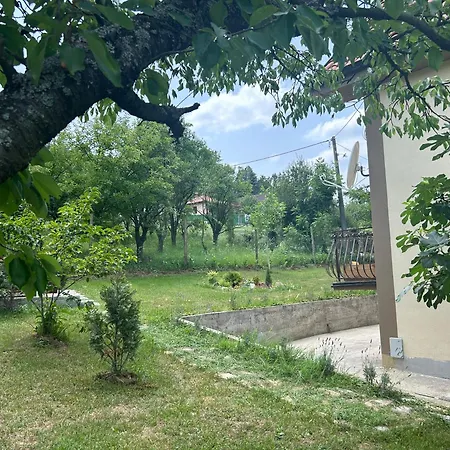 Kosmaj Ruza Vetrova *