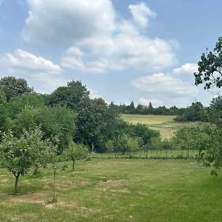 Kosmaj Ruza Vetrova Sopot