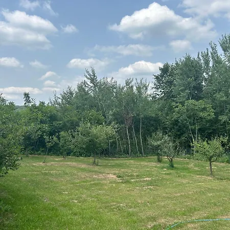 Kosmaj Ruza Vetrova Sopot