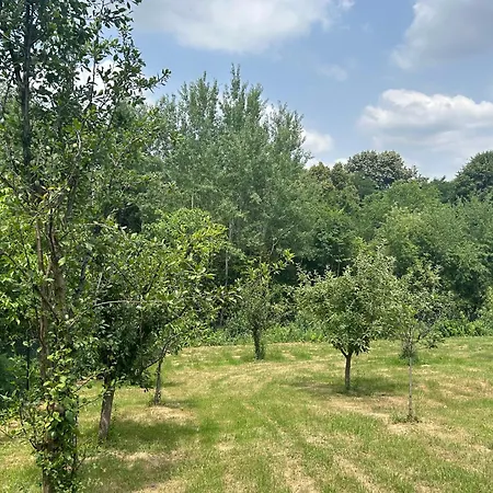 Kosmaj Ruza Vetrova * Sopot