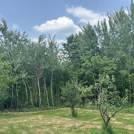 Kosmaj Ruza Vetrova شقة Sopot