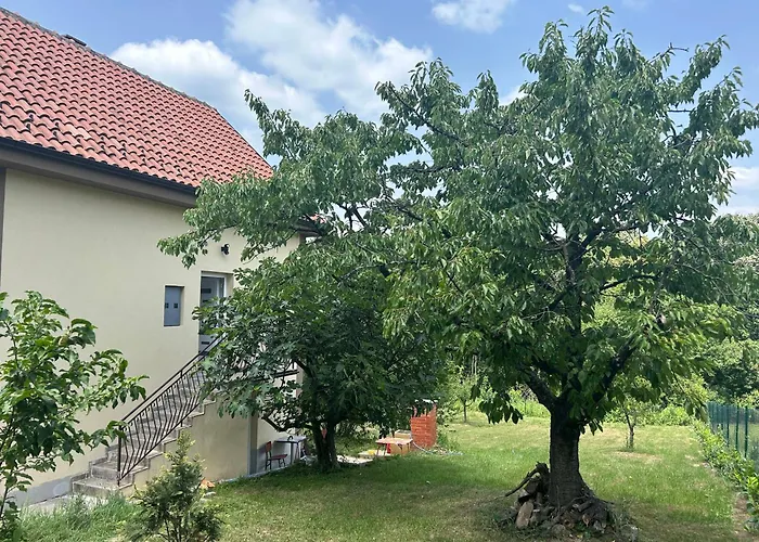 Kosmaj Ruza Vetrova Sopot