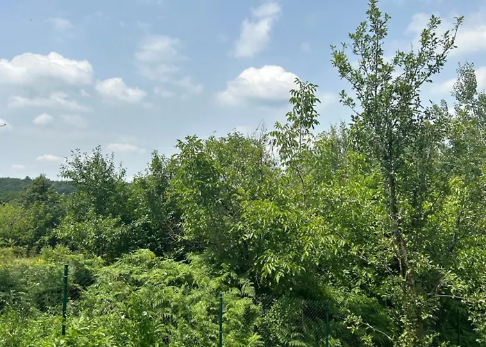 Kosmaj Ruza Vetrova Sopot