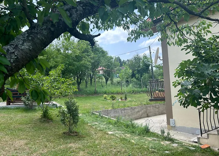 Kosmaj Ruza Vetrova *