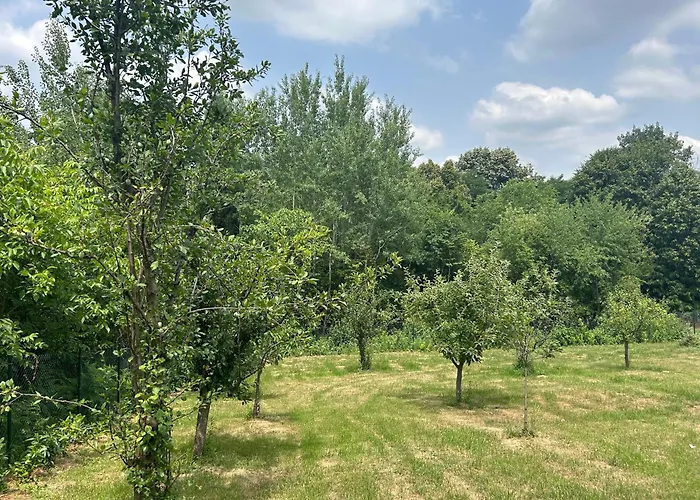 Kosmaj Ruza Vetrova * Sopot